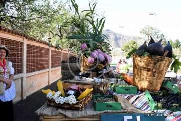  La romería de San Miguel Arcángel seduce a Telde (Foto Antonio Alí)
